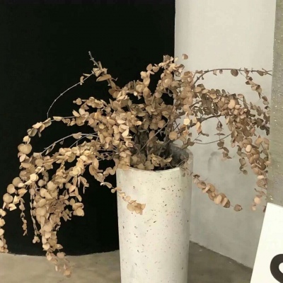 Furry绘画色彩灵感兽圈群